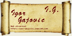 Igor Gajović vizit kartica